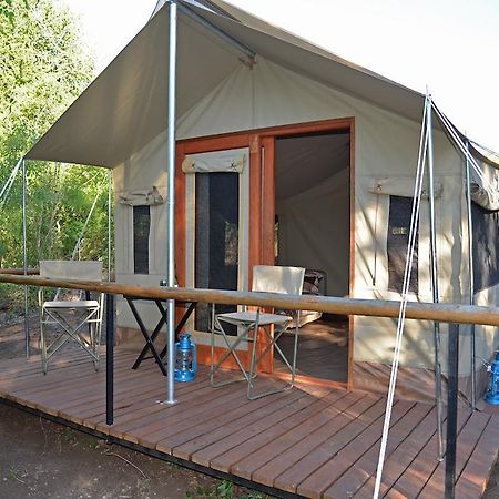 Hotel The Wild Olive Tree Camp Welverdiend  Habitación foto