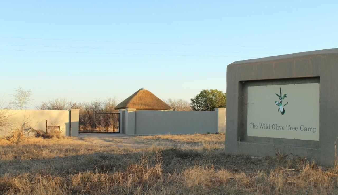Hotel The Wild Olive Tree Camp Welverdiend  Exterior foto